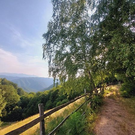 Villa Casuta De Lemn Tarsa  Esterno foto