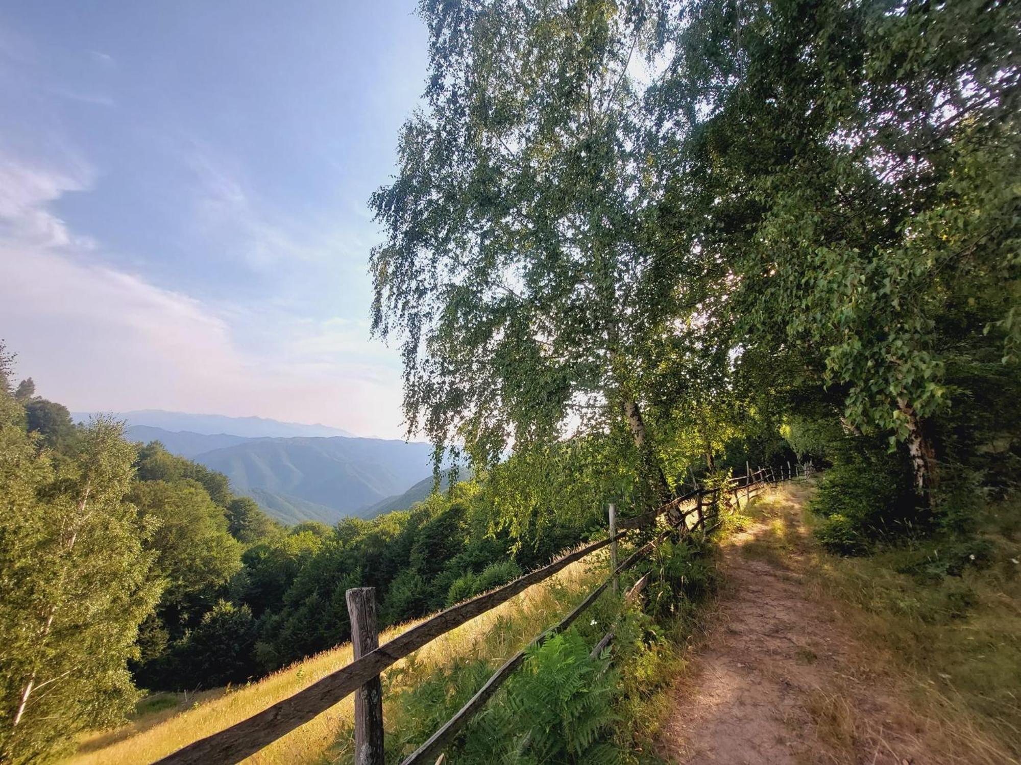 Villa Casuta De Lemn Tarsa  Esterno foto